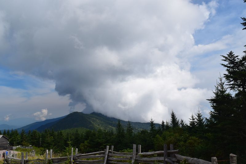 Name:  DSC_0420.JPG
Views: 245
Size:  61.4 KB