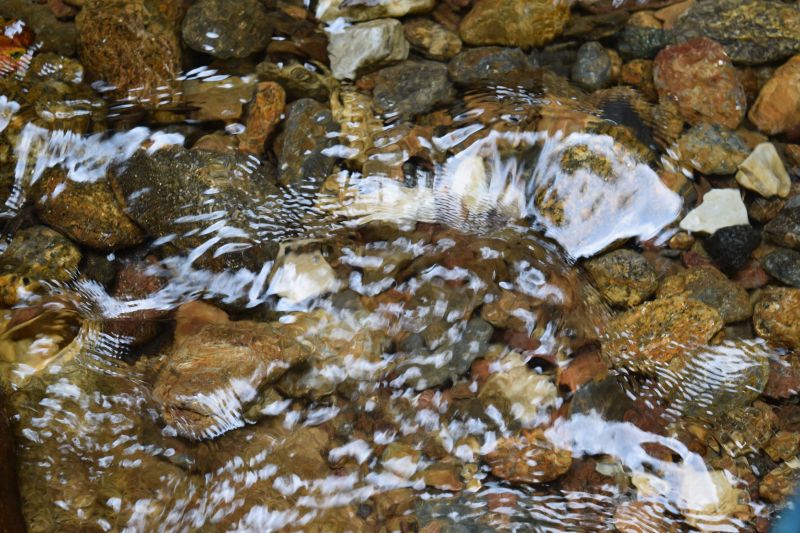 Name:  DSC_0176.JPG
Views: 270
Size:  127.9 KB