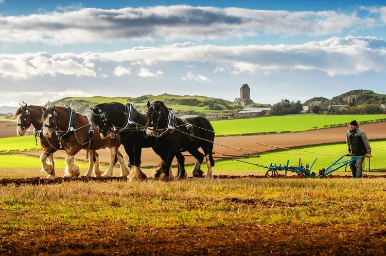 Name:  Ploughing a lone furrow.jpg
Views: 329
Size:  188.8 KB