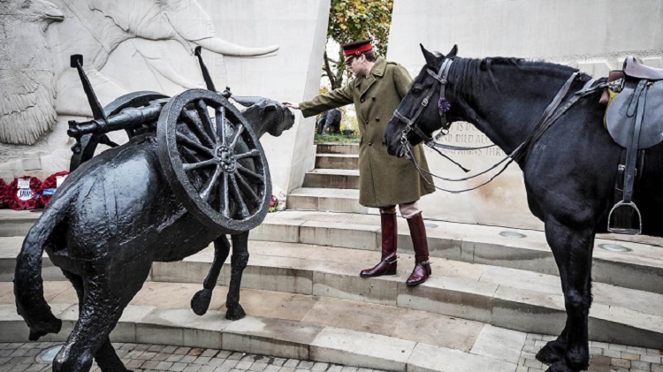 Name:  Animals In War Memorial.jpg
Views: 386
Size:  145.8 KB
