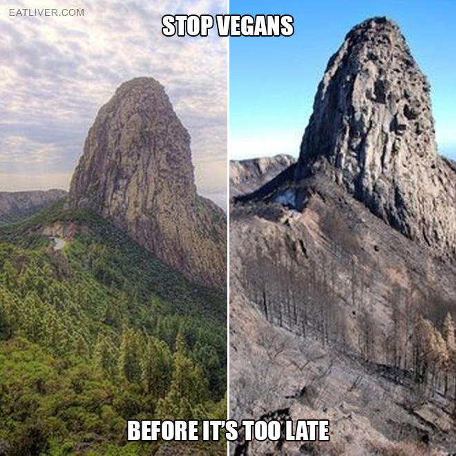 Name:  stop-vegans.jpg
Views: 89
Size:  158.4 KB