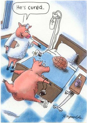 Name:  He's Cured!.JPG
Views: 526
Size:  51.5 KB