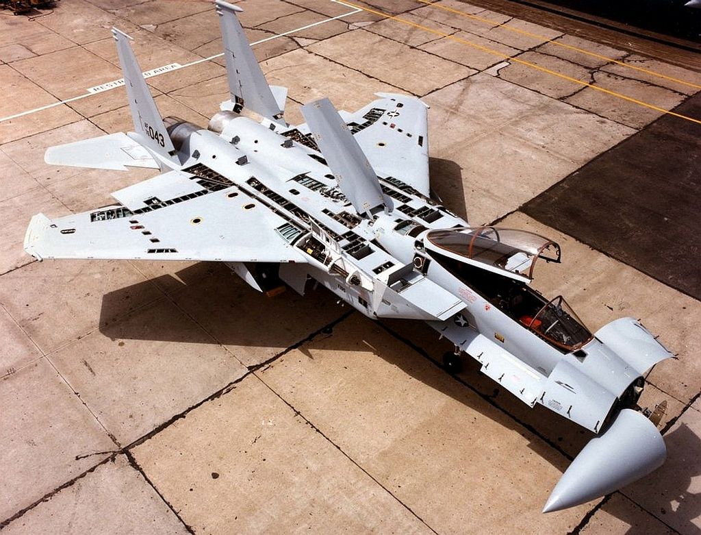 Name:  f15withinspectionpanelsopen.jpg
Views: 970
Size:  180.6 KB