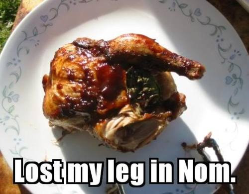 Name:  lost-my-leg-in-nom.jpg
Views: 384
Size:  43.1 KB