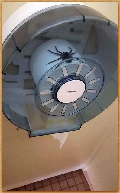 Name:  diyddiyd.JPG
Views: 318
Size:  40.6 KB