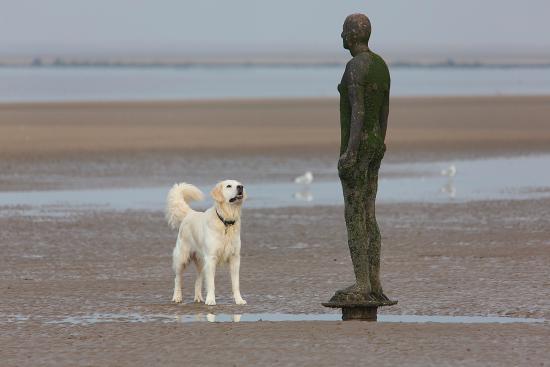 Name:  Antony Gormley.jpg
Views: 841
Size:  21.7 KB