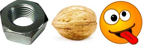 Name:  nut1.jpg
Views: 191
Size:  16.1 KB