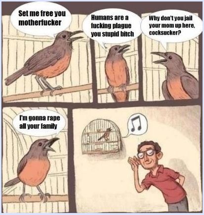 Name:  birb.JPG
Views: 2880
Size:  49.3 KB