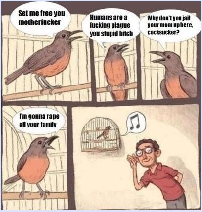 Name:  birb.JPG
Views: 882
Size:  49.3 KB