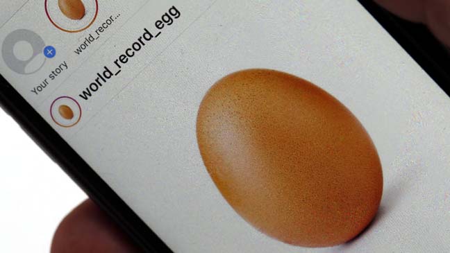 Name:  egg1.jpg
Views: 429
Size:  26.8 KB