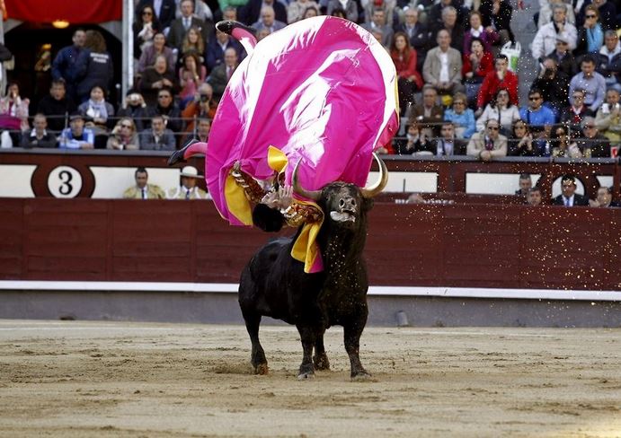 Name:  yaybull.JPG
Views: 363
Size:  83.0 KB