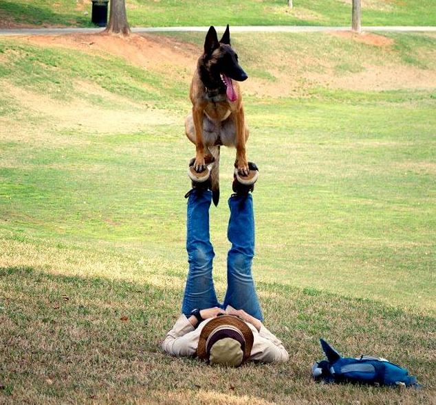 Name:  dog.JPG
Views: 1028
Size:  108.9 KB