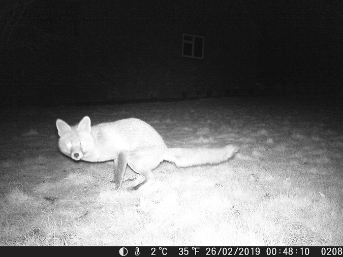 Name:  Caught in the act..JPG
Views: 3566
Size:  127.4 KB