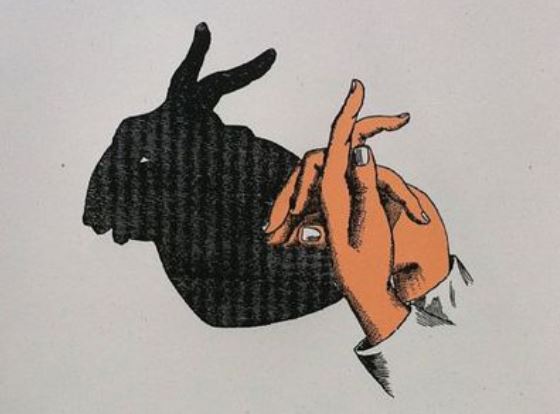 Name:  Rabbit Shadow.JPG
Views: 1143
Size:  33.0 KB