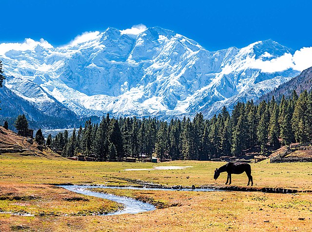 Name:  640px-Fairy_Meadows_and_the_view_of_Nanga_Parbat.jpg
Views: 7686
Size:  151.5 KB
