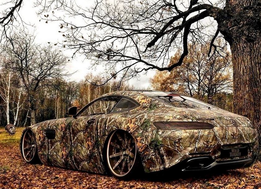 Name:  wildturkeybenz.JPG
Views: 271
Size:  213.2 KB