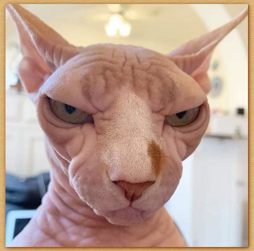 Name:  khat.JPG
Views: 437
Size:  40.3 KB