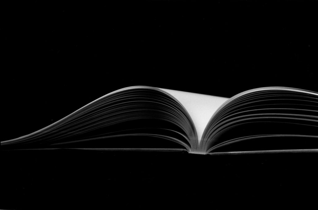 Name:  scriveyn_book.jpg
Views: 689
Size:  28.7 KB
