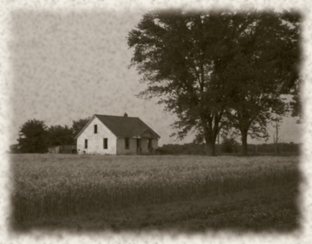 Name:  Abandoned House Robey Road 4.jpg
Views: 994
Size:  74.2 KB