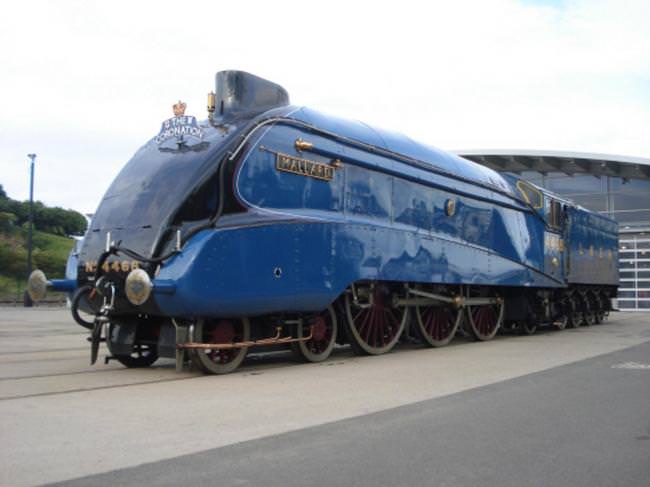Name:  Mallard.jpg
Views: 1704
Size:  29.5 KB
