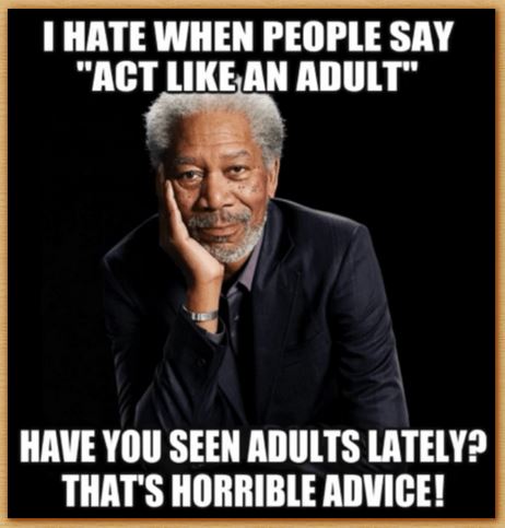 Name:  adult.JPG
Views: 1501
Size:  40.2 KB