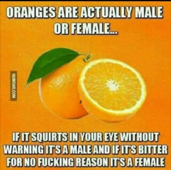 Name:  Sex-of-oranges.png
Views: 1324
Size:  429.0 KB