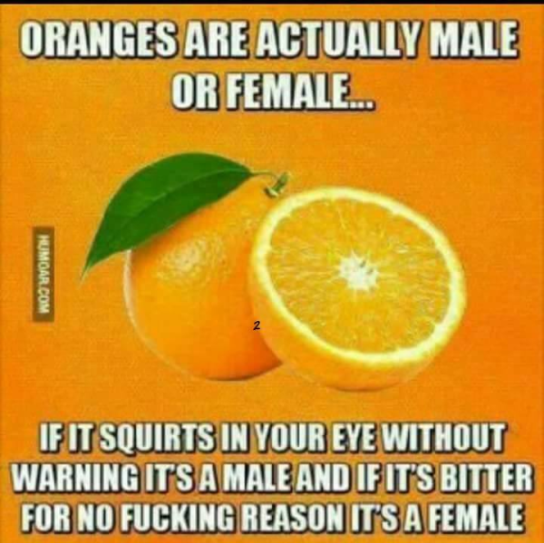 Name:  Sex-of-oranges.png
Views: 2828
Size:  429.0 KB