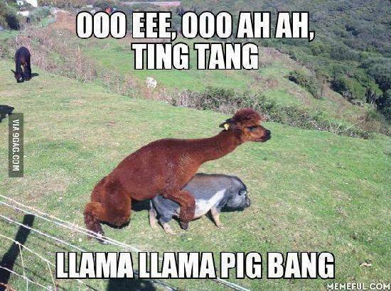 Name:  OO-EEE-OOO-AH-AH....jpg
Views: 1926
Size:  58.9 KB