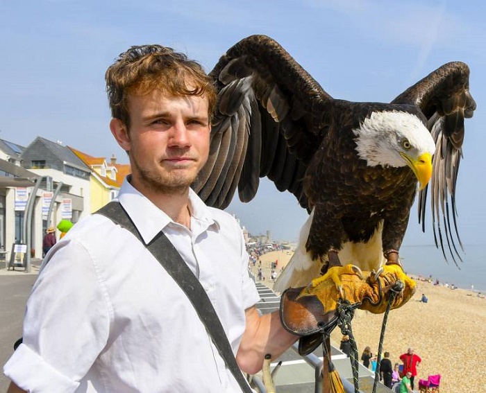 Name:  Bald Eagle.jpg
Views: 4212
Size:  143.7 KB