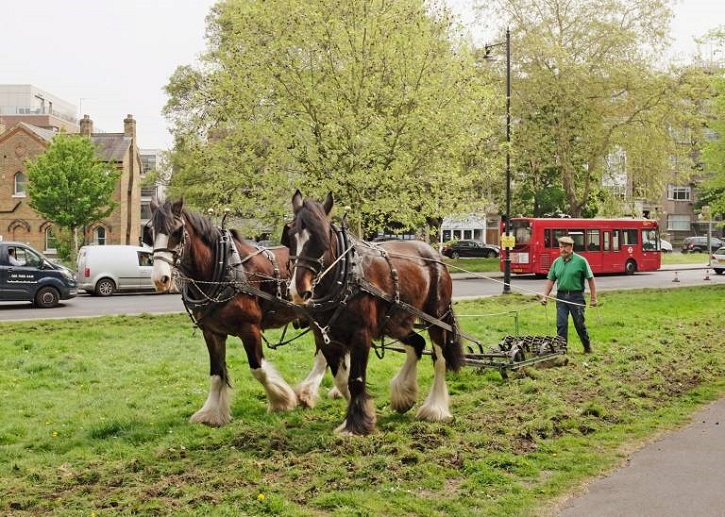 Name:  Clapham Common.jpg
Views: 316
Size:  223.2 KB