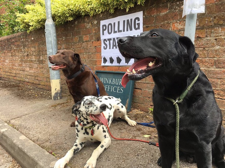 Name:  Dogs at Polling Stations.jpg
Views: 352
Size:  266.0 KB