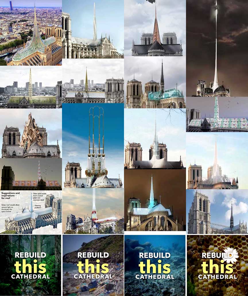 Name:  notredame2.jpg
Views: 470
Size:  154.8 KB