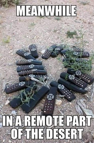 Name:  remoye.JPG
Views: 1125
Size:  68.4 KB