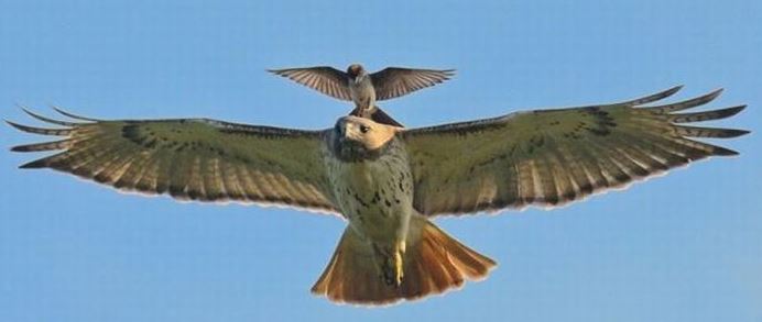 Name:  double.JPG
Views: 3097
Size:  28.1 KB