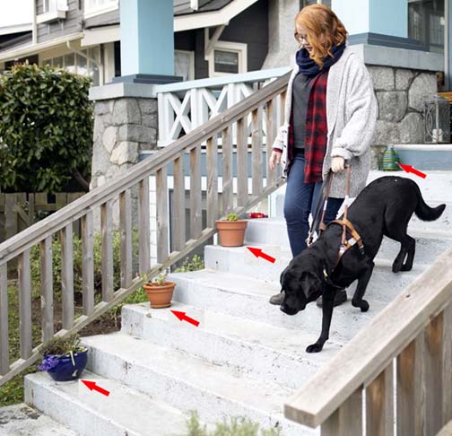 Name:  stairs.jpg
Views: 601
Size:  53.4 KB