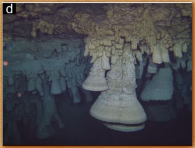 Name:  bells.JPG
Views: 1306
Size:  41.1 KB