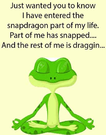 Name:  snapdragon.jpg
Views: 428
Size:  28.6 KB