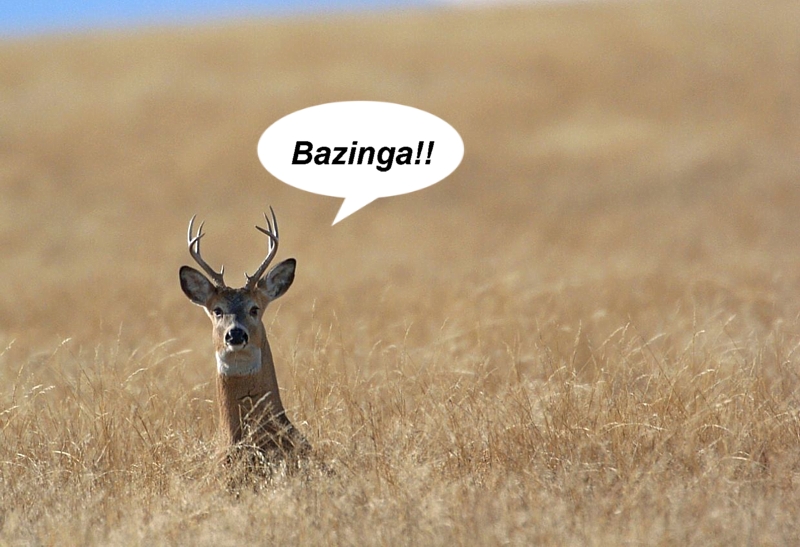 Name:  Bazinga.jpg
Views: 850
Size:  301.2 KB
