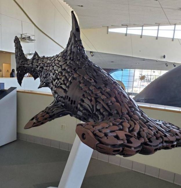 Name:  hammerheadfromsam.JPG
Views: 431
Size:  64.1 KB