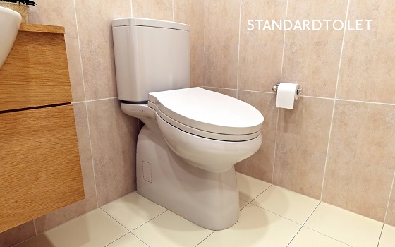 Name:  Inclined Toilet.jpg
Views: 4274
Size:  80.5 KB