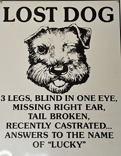 Name:  Lucky.jpg
Views: 1999
Size:  44.9 KB