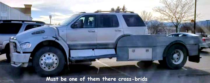 Name:  cross-brid.jpg
Views: 367
Size:  31.7 KB