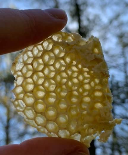 Name:  honeycomb.png
Views: 259
Size:  294.9 KB
