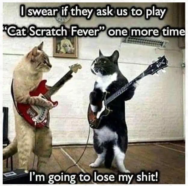 Name:  catscratchfever.JPG
Views: 618
Size:  77.8 KB