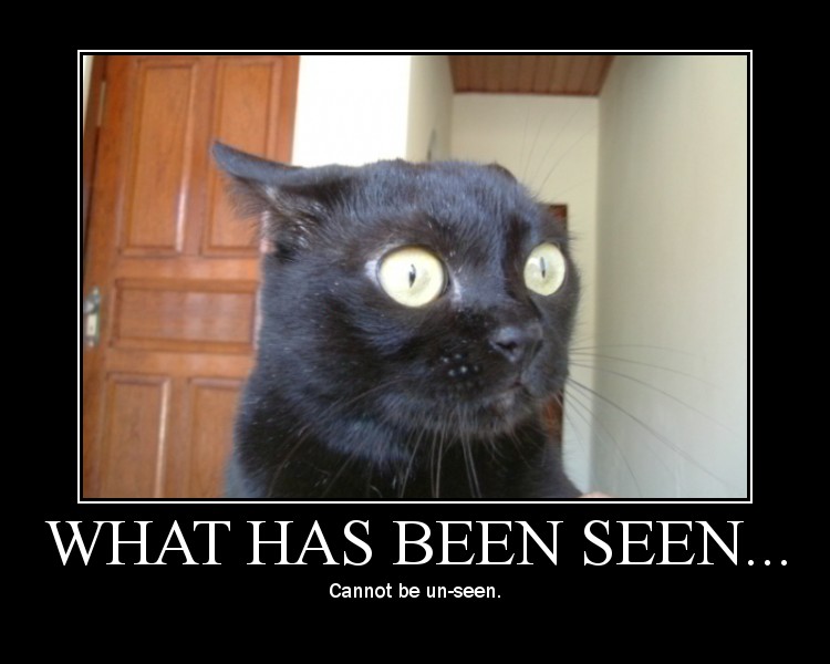 Name:  what-seen.jpg
Views: 1333
Size:  63.2 KB