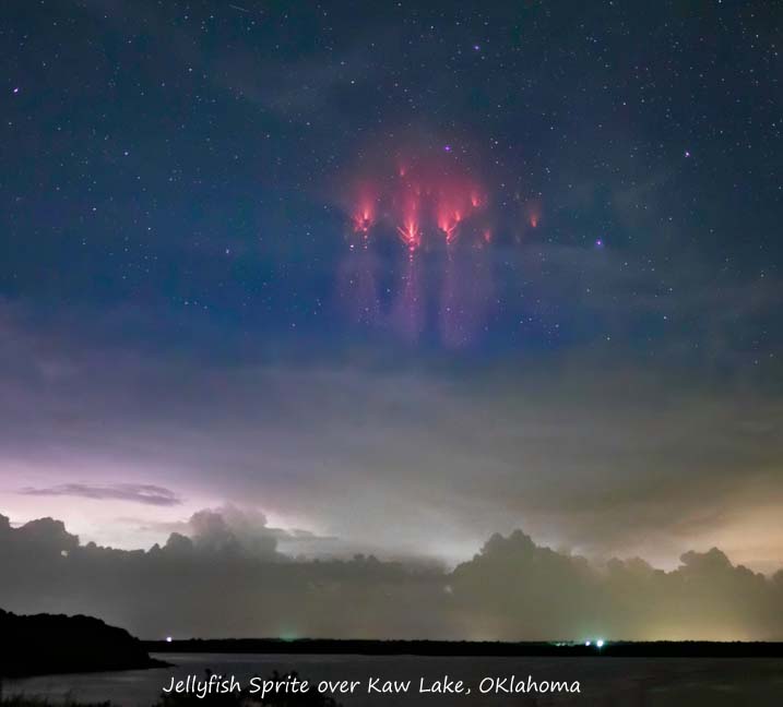 Name:  jellyfish sprite1.jpg
Views: 277
Size:  27.7 KB