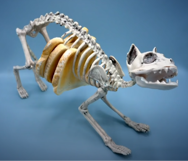 Name:  catskeltst.png
Views: 1271
Size:  309.9 KB