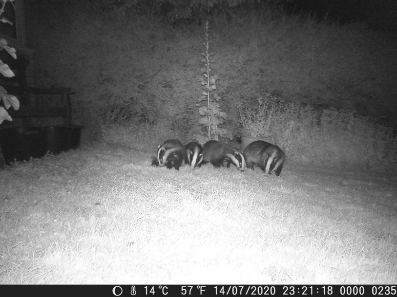 Name:  Four in a row..jpg
Views: 8394
Size:  116.5 KB