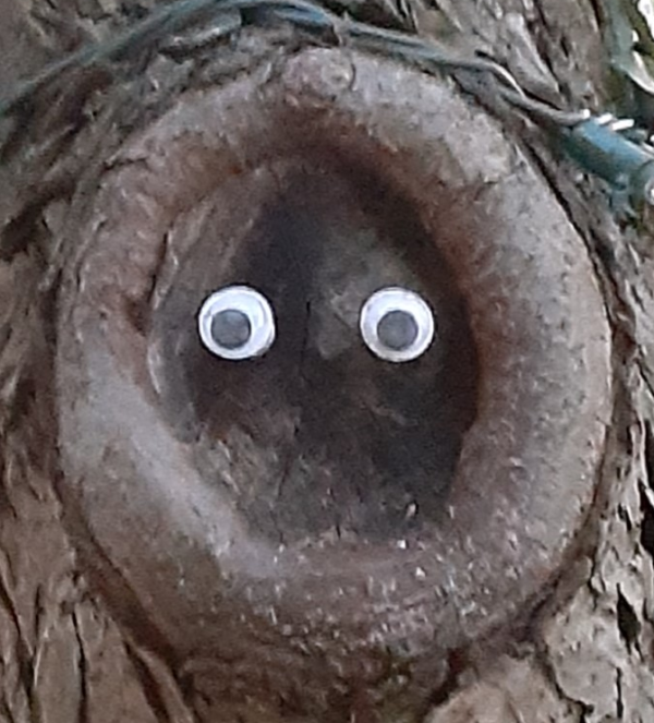 Name:  cosmetic tree surgery1.png
Views: 275
Size:  486.1 KB