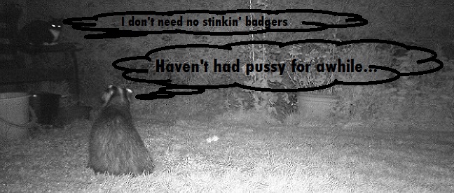 Name:  Badger v Cat.JPG
Views: 1202
Size:  91.6 KB